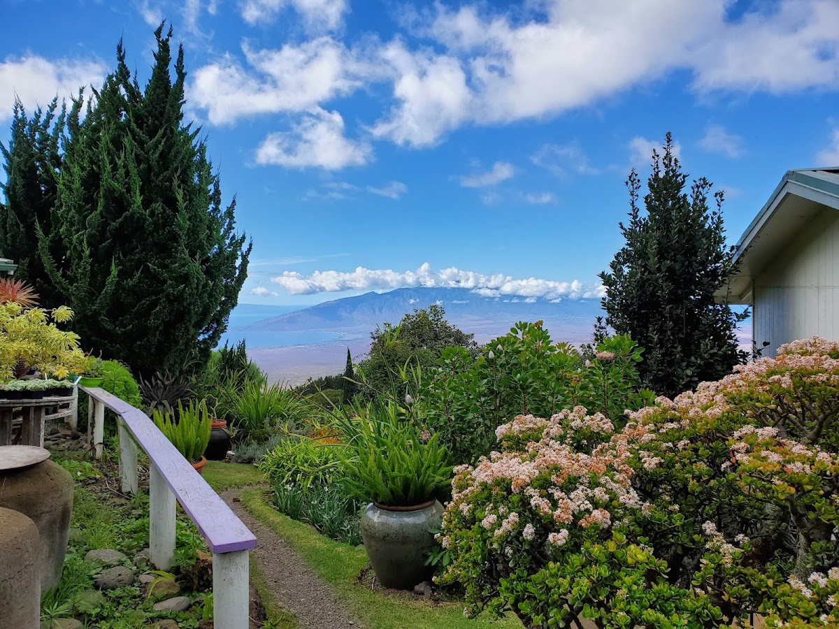 Upcountry Maui